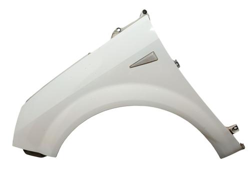 Used Left front fenders RENAULT SCÉNIC II (JM0/1_) 1.5 dCi (JM1E, JM16) (106 hp) 28471820