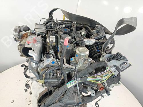 Engine FORD FIESTA VII (HJ, HF) 1.0 EcoBoost | BP37068467M1 - Image 10