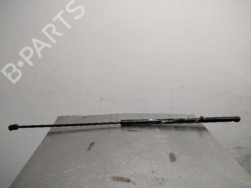 Used Hood lift support VW GOLF VII (5G1, BQ1, BE1, BE2) 1.6 TDI (105 hp) 14347891