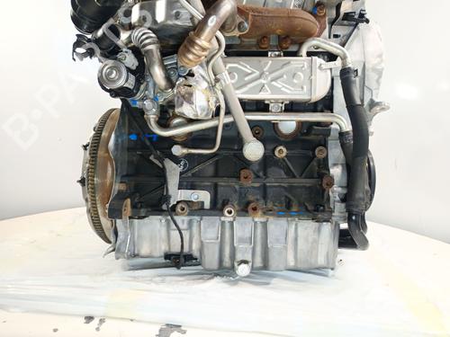 Engine SEAT IBIZA IV (6J5, 6P1) 1.6 TDI | BP34341468M1  - Image 5