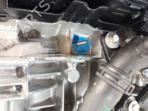 Engine NISSAN JUKE (F16_) DIG-T 117 | BP36917845M1  - Image 15