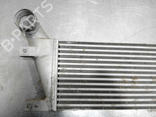 Intercooler SANTANA PS10/ANIBAL | BP11567792M30 - Image 2