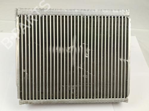 Air conditioning evaporator MERCEDES-BENZ A-CLASS (W177) A 180 d (177.010) | BP28025871M109 