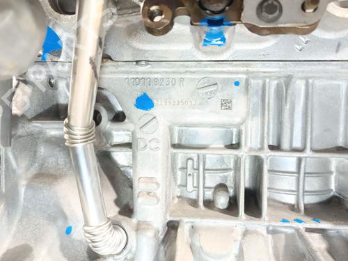 Engine DACIA SANDERO III 1.0 TCe 90 | BP32091659M1 