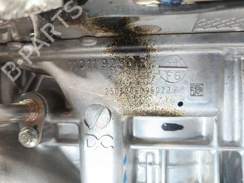 Engine NISSAN JUKE (F16_) 1.0 | BP30746496M1 