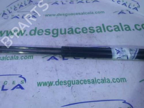 Used Tailgate lift support ROVER 45 I Hatchback (RT) [2000-2005]  14352582