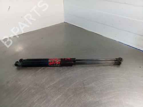 Hood lift support LAND ROVER DISCOVERY III (L319) 2.7 TD 4x4 | BP14354439C139 
