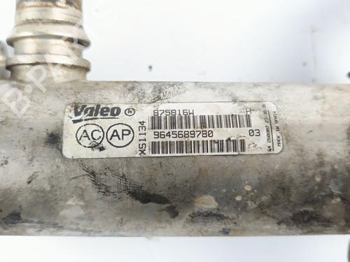 Egr CITROËN C4 Grand Picasso I (UA_) 2.0 HDi 138 | BP28608523M69 