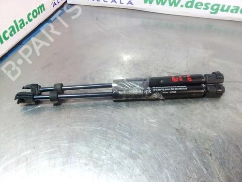 Used Hood lift support CHRYSLER 300C (LX, LE) 3.0 CRD (218 hp) 14354103