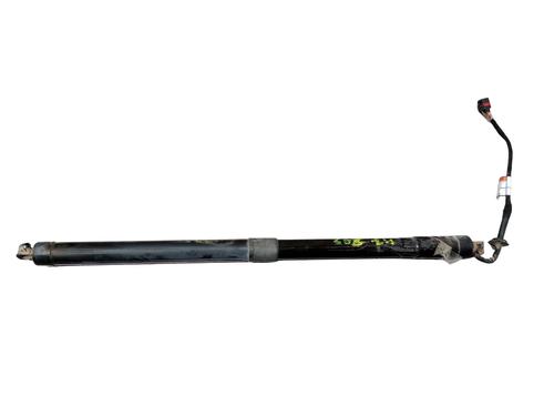Used Tailgate lift support LAND ROVER RANGE ROVER EVOQUE (L538) 2.0 D (150 hp) 20699282