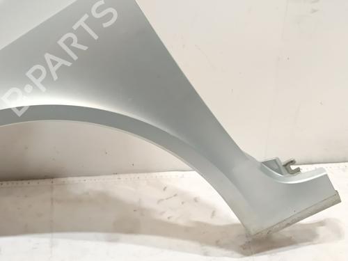 Left front fenders RENAULT LAGUNA II (BG0/1_) 1.9 dCi (BG0R, BG0E) | BP26902623C41 