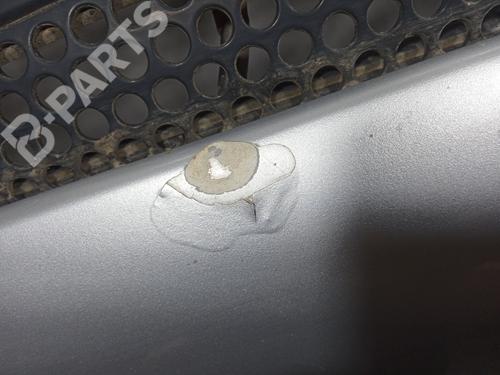 Hood MERCEDES-BENZ M-CLASS (W163) ML 270 CDI (163.113) | BP10168290C1 