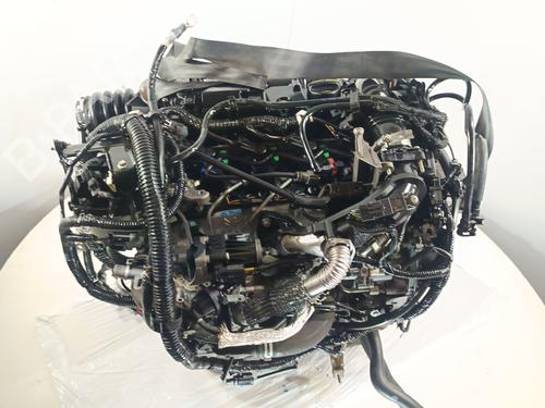 Engine FORD C-MAX II (DXA/CB7, DXA/CEU)  | BP29935651M1