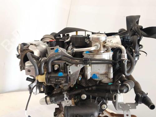 Engine FORD ECOSPORT 1.0 EcoBoost | BP30274457M1 - Image 11