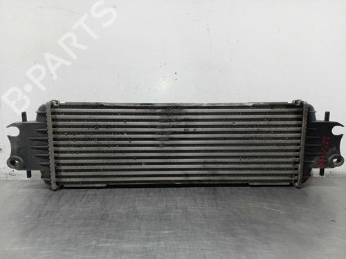 Intercooler NISSAN PRIMASTAR Van (X83) | BP10172127M30 - Image 3
