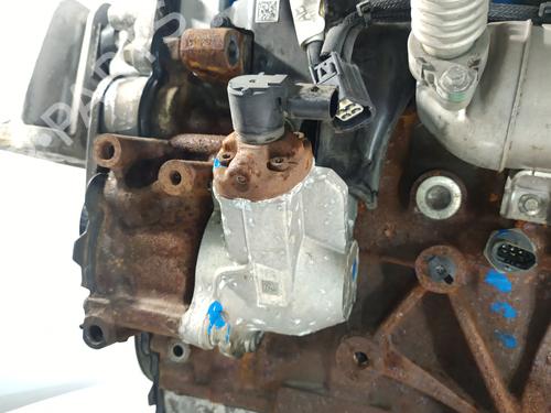 Engine FORD TRANSIT CUSTOM V362 Bus (F3) 2.0 EcoBlue | BP32091650M1 