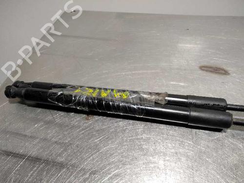 Tailgate lift support BMW 1 (F20)  | BP14355587C138