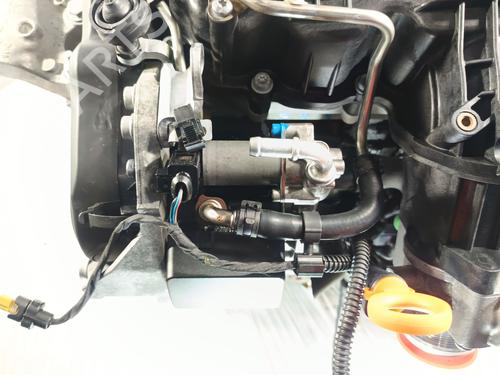 Engine VW POLO V (6R1, 6C1) 1.6 TDI | BP31137198M1 