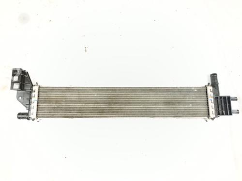 Used Water radiator DACIA SANDERO II 1.5 dCi (90 hp) 29339800
