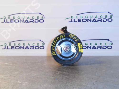 Styring servopumpe HYUNDAI ATOS (MX) [1997-2015]  13738342