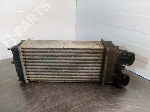Intercooler SANTANA 300/350 1.6 D 4x4 | BP10929146M30