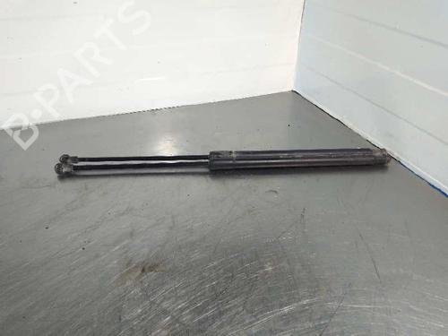 Tailgate lift support NISSAN QASHQAI I (J10, NJ10)  | BP14353919C138 