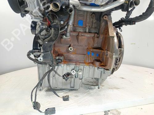 Engine FORD FIESTA VII (HJ, HF) 1.0 EcoBoost | BP37068467M1 - Image 14