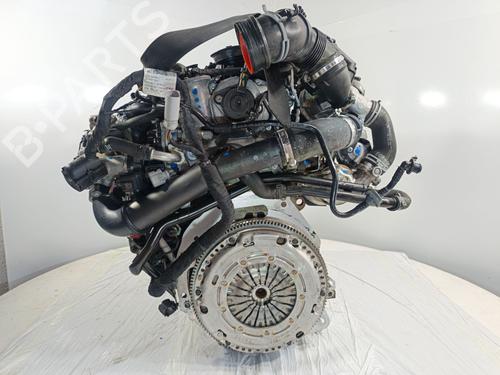 Engine AUDI A3 (8V1, 8VK) 1.6 TDI | BP32091660M1  - Image 10