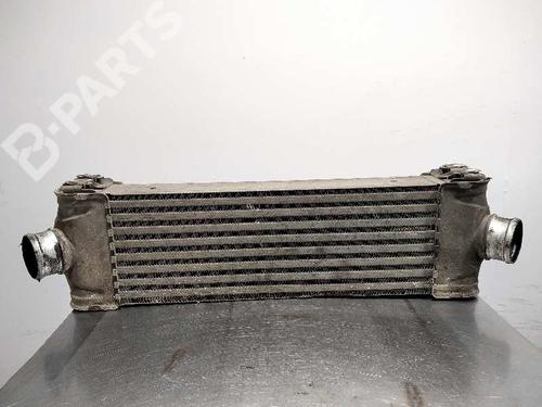 Intercooler FORD TRANSIT Van (FA_ _) [2006-2014]  10092989