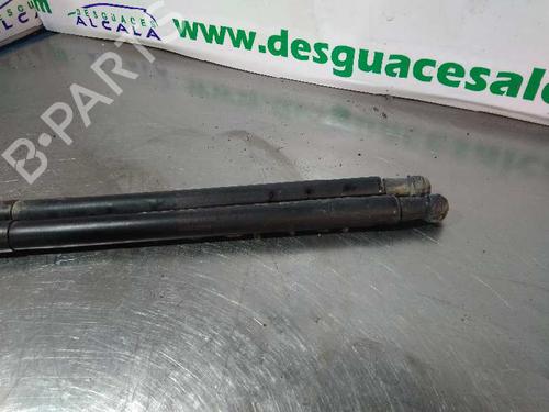 Tailgate lift support NISSAN QASHQAI I (J10, NJ10)  | BP14353919C138 