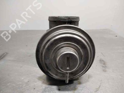 Egr BMW 3 (E46) 320 d | BP14348187M69