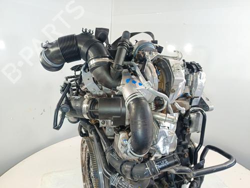 Engine AUDI A3 (8V1, 8VK) 1.6 TDI | BP35807373M1 - Image 7