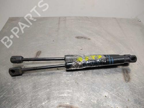Hood lift support BMW 1 (F20)  | BP14347761C139 