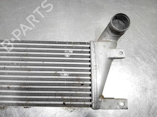 Intercooler SANTANA PS10/ANIBAL | BP11567792M30 - Image 3