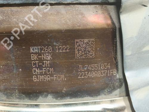 Particulate filter JAGUAR E-PACE (X540) 2.0 D165 | BP29595404M81 