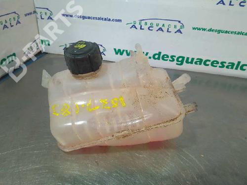 Vase D'Expansion RENAULT FLUENCE (L3_) 1.5 dCi (L30D, L30L, L306, L33F, L33L, L33M, L33V, L33W) (110 hp) 9992294