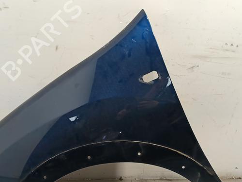 Left front fenders DACIA SANDERO II TCe 90 (B8M1, B8MA, B8AC) | BP30725406C41