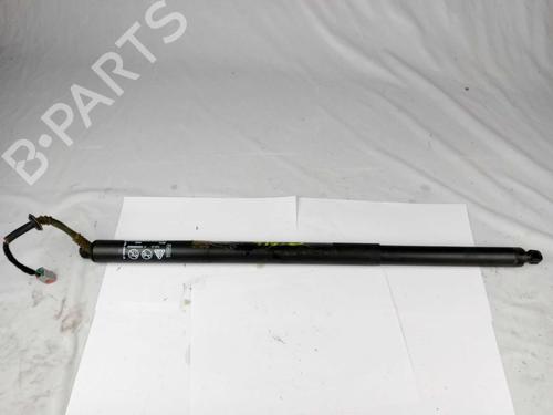 Used Tailgate lift support Tailgate lift support FORD PUMA (J2K, CF7) 1.0 EcoBoost mHEV (125 hp) 24367597 24367597