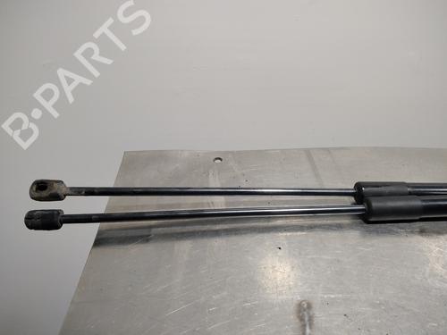 Tailgate lift support FORD FOCUS III  | BP14348791C138 
