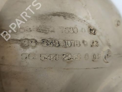 Expansion tank CITROËN BERLINGO MULTISPACE (B9) 1.6 BlueHDi 100 | BP29570490C120 