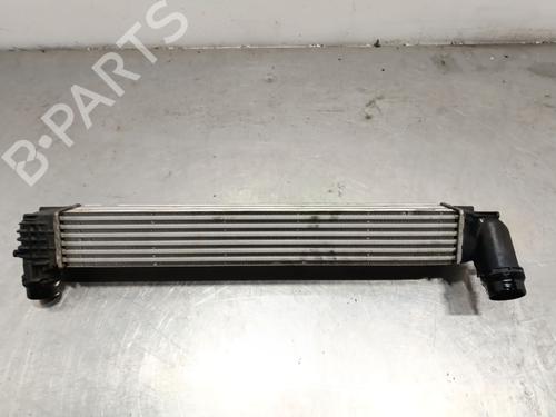 Intercooler RENAULT SCÉNIC III (JZ0/1_) 1.2 TCe (JZ16) | BP30733945M30