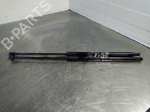 Tailgate lift support NISSAN QASHQAI / QASHQAI +2 I (J10, NJ10, JJ10E) 1.5 dCi | BP14354542C138 