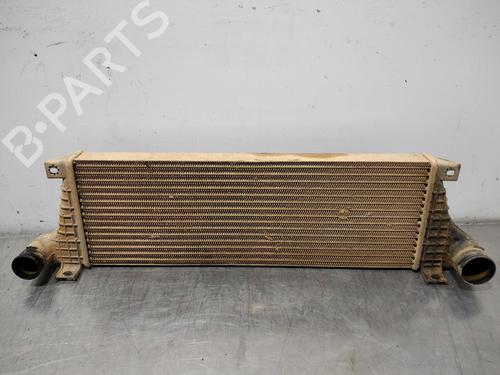 Intercooler Intercooler SANTANA PS10/ANIBAL [2002-2026] 10089946 10089946