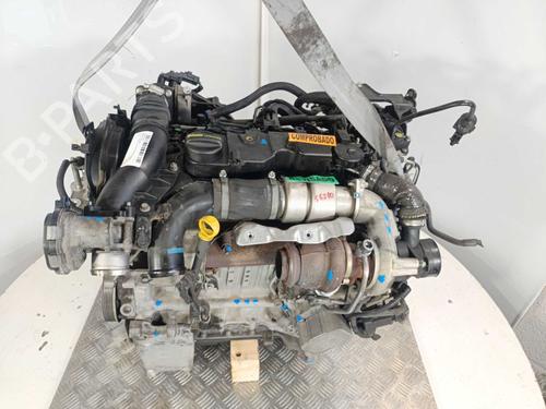 Engine FORD TOURNEO COURIER B460 MPV 1.5 EcoBlue | BP40532527M1 - Image 17