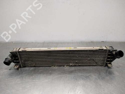 Used Intercooler Intercooler FORD KUGA I 2.0 TDCi (136 hp) 10093748 10093748