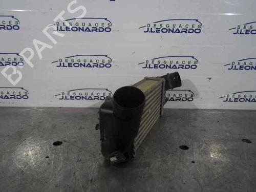 Intercooler SANTANA PS10/ANIBAL | BP14351557M30 - Image 2