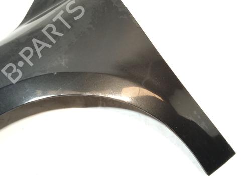 Left front fenders RENAULT MEGANE III Hatchback (BZ0/1_, B3_) 1.6 16V (BZ1B, BZ1H) | BP17495384C41 