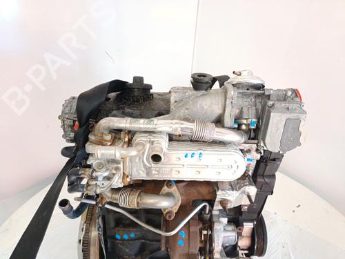 Engine VW GOLF V (1K1) 1.9 TDI | BP31775376M1 