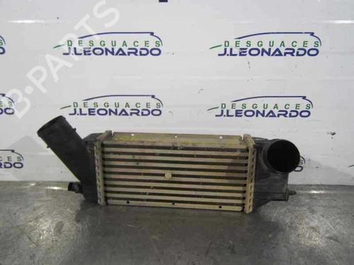Intercooler Intercooler SANTANA PS10/ANIBAL [2002-2026] 14351558 14351558