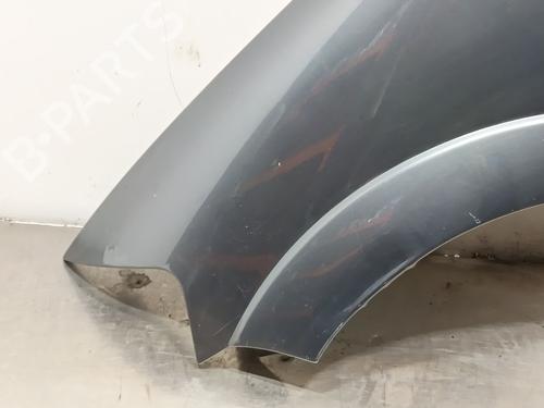 Left front fenders CITROËN C3 I (FC_, FN_) 1.4 i | BP29123840C41 